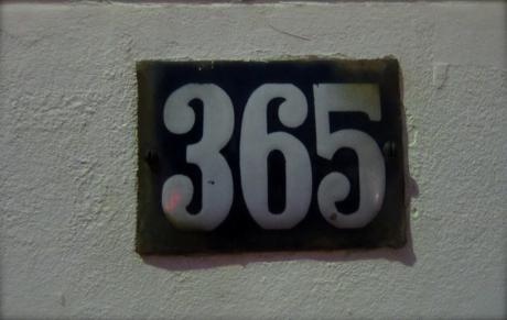 365ème photo, 1 an!