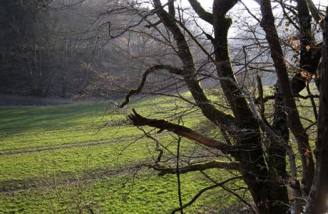 Sur le chemin de Kautenbach