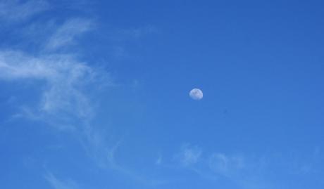 Finie la neige, clair de lune