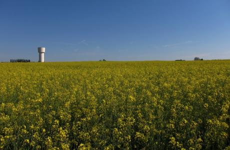 Sur la route de Chambord