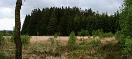Fagnes