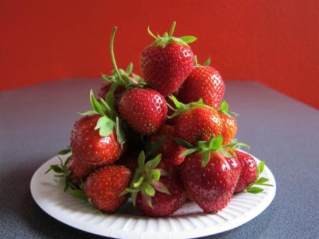Fruit time: fraîchement cueillies