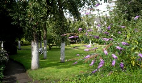 Jardin du béguinage d'Anvers