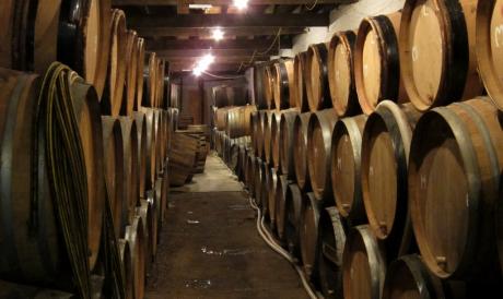 Fûts de Lambic (Brasserie Cantillon à Bruxelles)