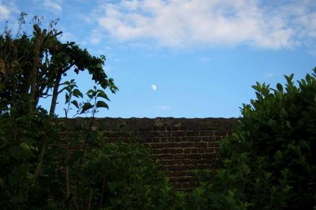 Another brick in the wall