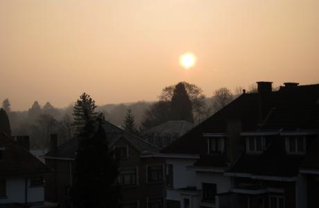 Petit matin frais sur Boitsfort