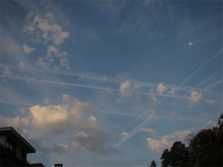 Signes