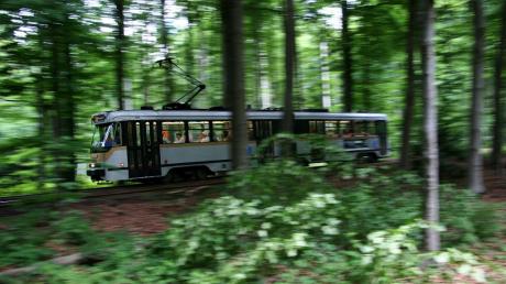 Tram 44